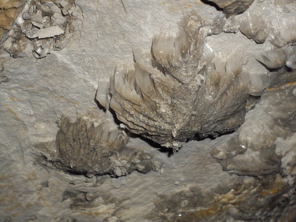 Thin strands of gypsum shoot up from the cave's floor.