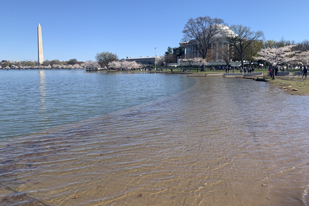 Water flooding trees with memorials in the background