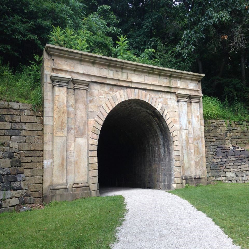 A railroad tunnel overgrown with vegetation.