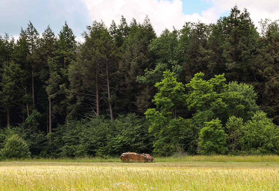 Boulder in the summer.