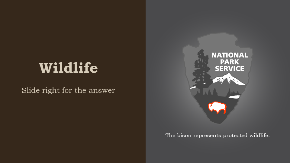 Wildlife, slide right for the answer, national park service arrowhead, the bison represents protected wildlife