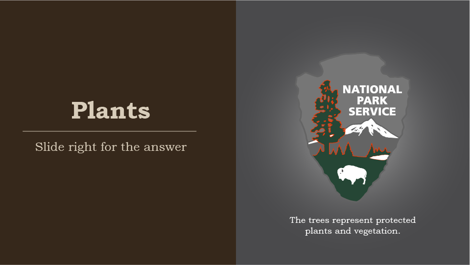 Plants, slide right for the answer, national park service arrowhead, the trees represent protected plants.
