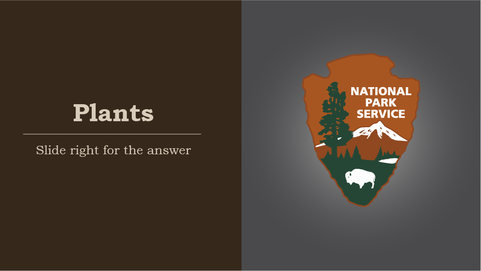 Plants, slide right for the answer, national park service arrowhead, the trees represent protected plants.