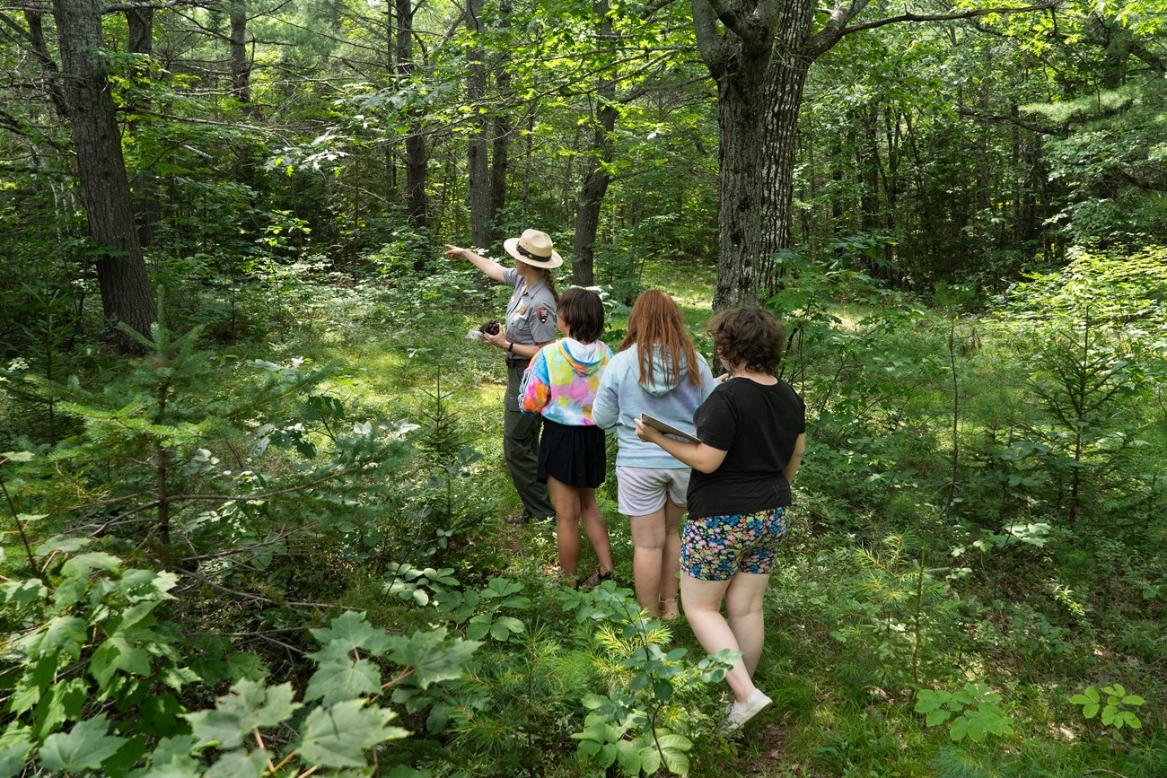 A NPS ranger (in uniform) leads a group of students through the lush green woods during a field trip visit to learn about ecology.