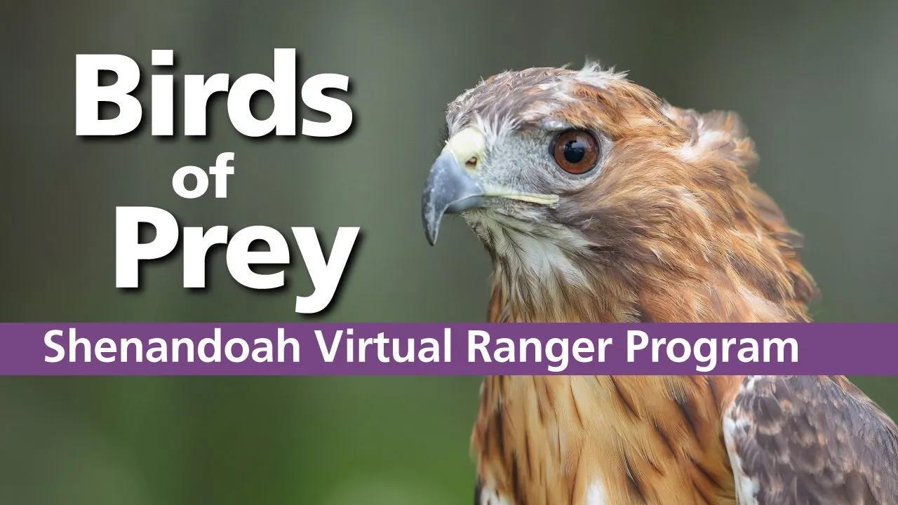 Video (U.S. National Park Service), image size:1280x720