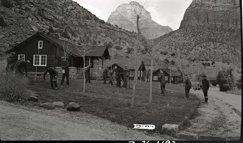 Workers in a yard with saplings, three wooden and stone houses are in the background with Zion Canyon.