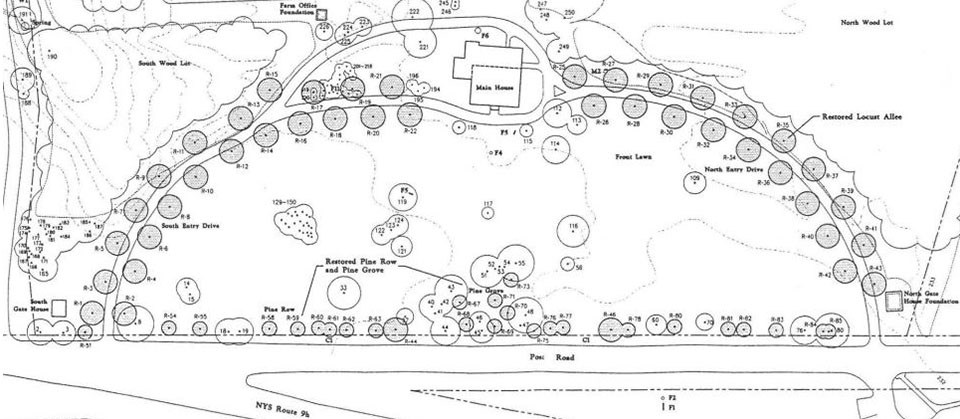 A plan shows landscape features and vegetation that was planned for removal, marked by gray shading.