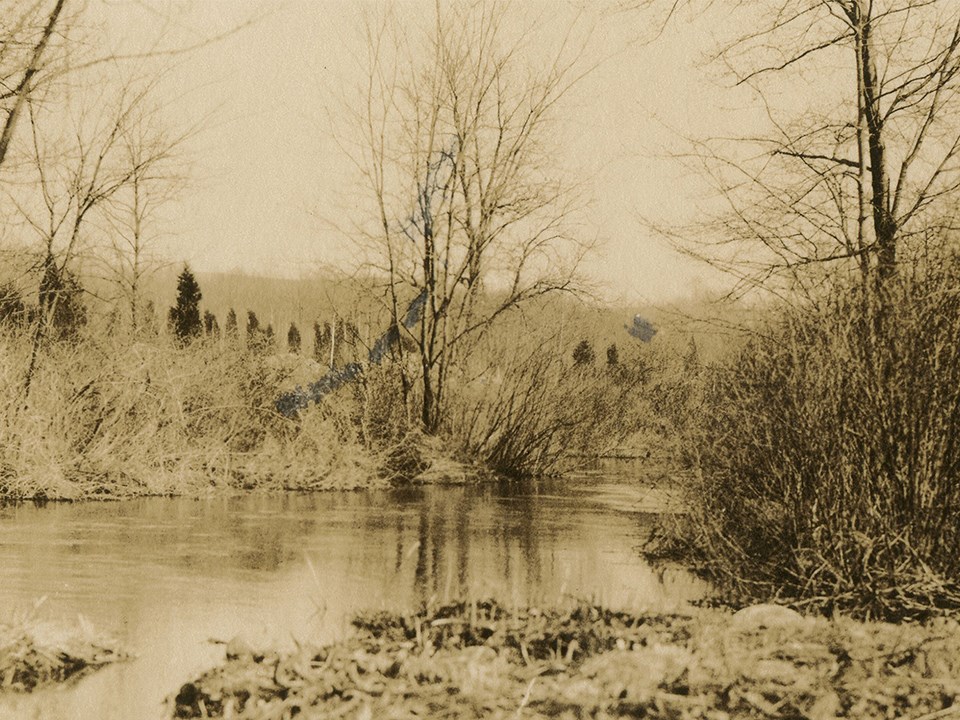 Grasses and leafless trees surround a natural-looking pond in a sepia-toned photo.