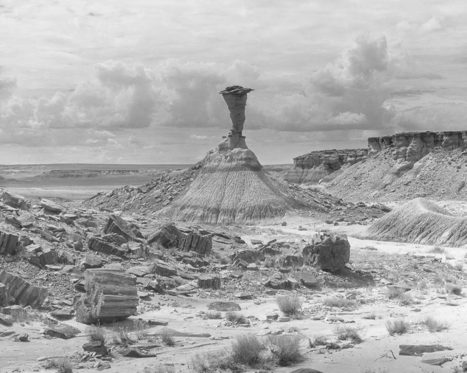 Black and white photo of an eroded rock column in a valley surrounded by petrified logs.