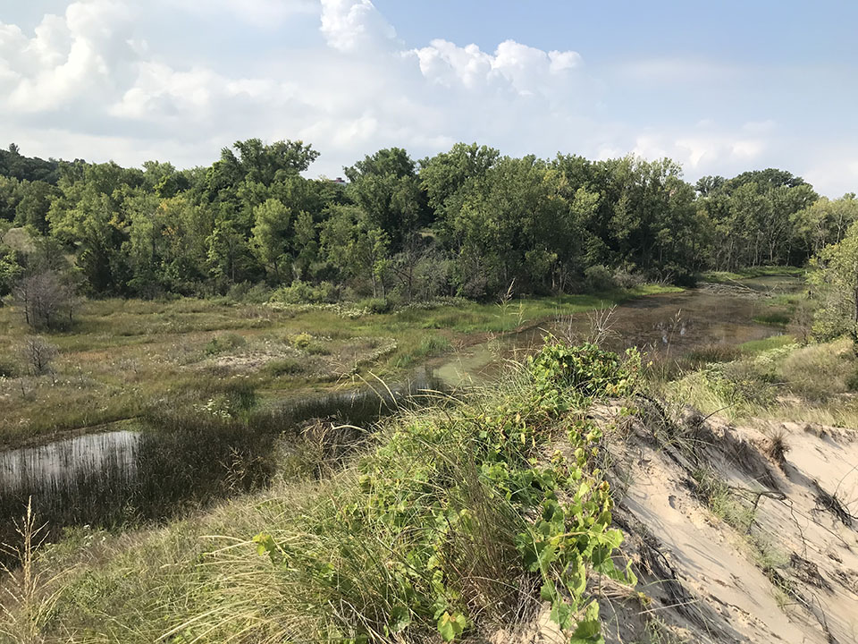 green grasses and vegetation cover a flat area of land