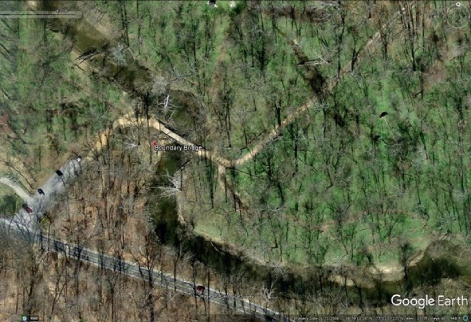 aerial photo of forest with creek, road, and green forest floor