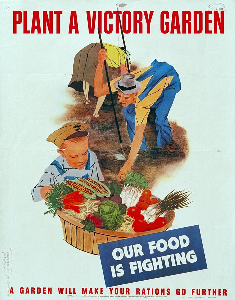 Color illustration. A white woman in skirt and seamed stockings and a white man in overalls bend over to weed a small garden, while a white boy in a military cap holds a bushel basket of home-grown vegetables.