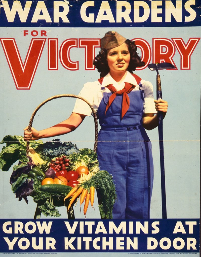 Color illustration. A white woman in skirt and seamed stockings and a white man in overalls bend over to weed a small garden, while a white boy in a military cap holds a bushel basket of home-grown vegetables.