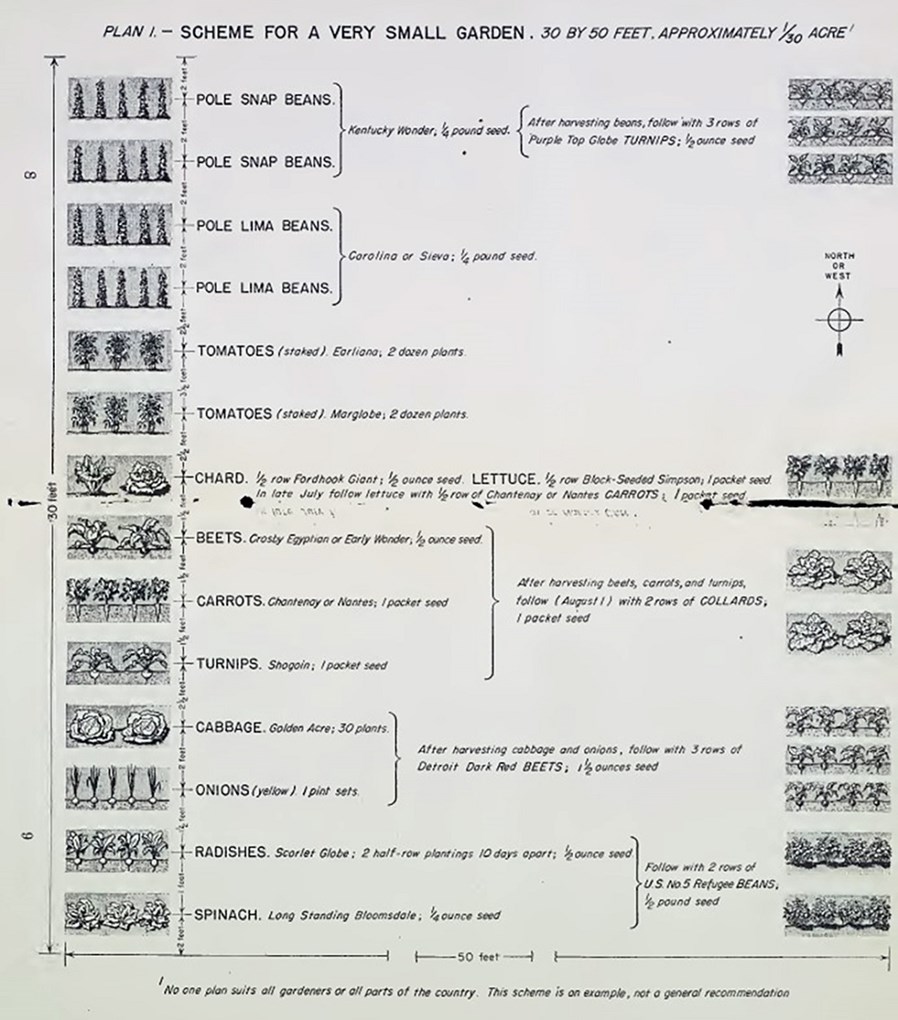 Black and white planting plan for a garden, showing how many rows of pole beans, tomatoes, chard, turnips, cabbage, and other vegetables to plant.