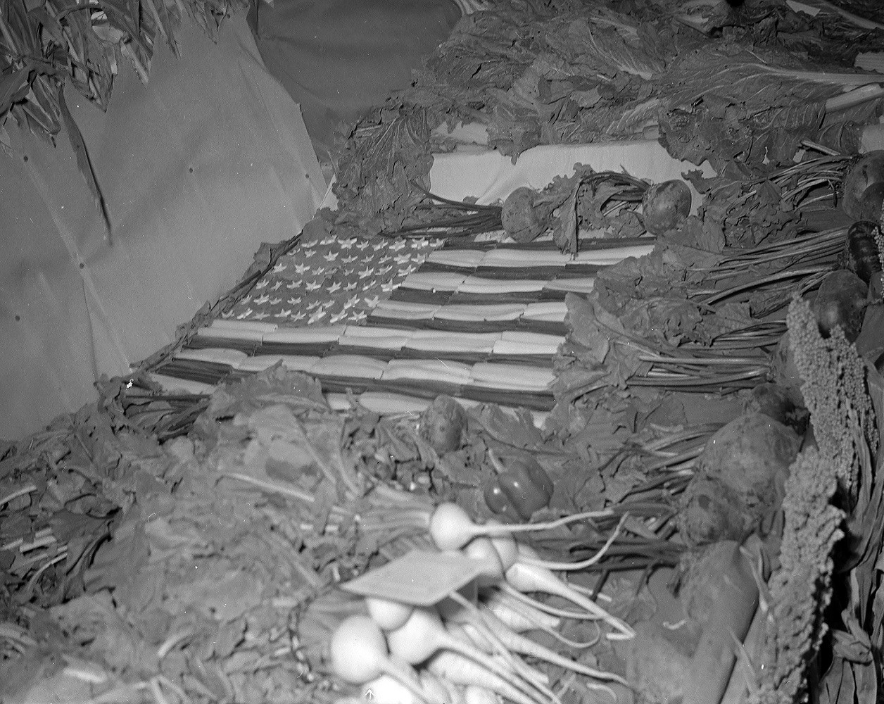 Black and white photo of produce on display. There is corn, radishes, beets, kale, and carrots among other things.