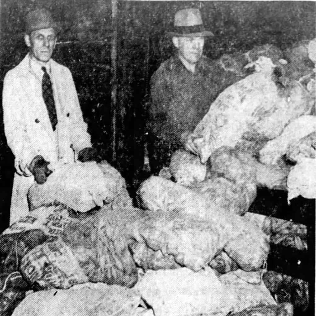 Black and white newspaper photo of two white men and a stack of 50-lb onion bags full of milkweed pods.