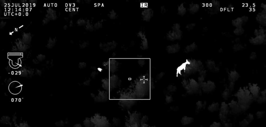 A white outline of a bull moose with antlers stands out against a black background.