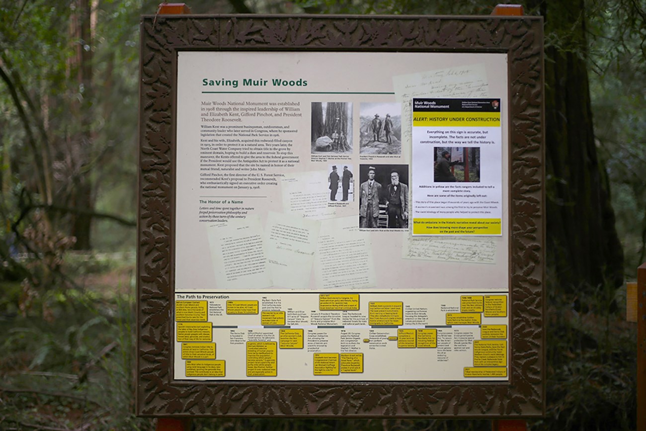 a sign titled "Saving Muir Woods" with text, black and white images, and a timeline at the bottom - the text of which is written at the bottom of this page