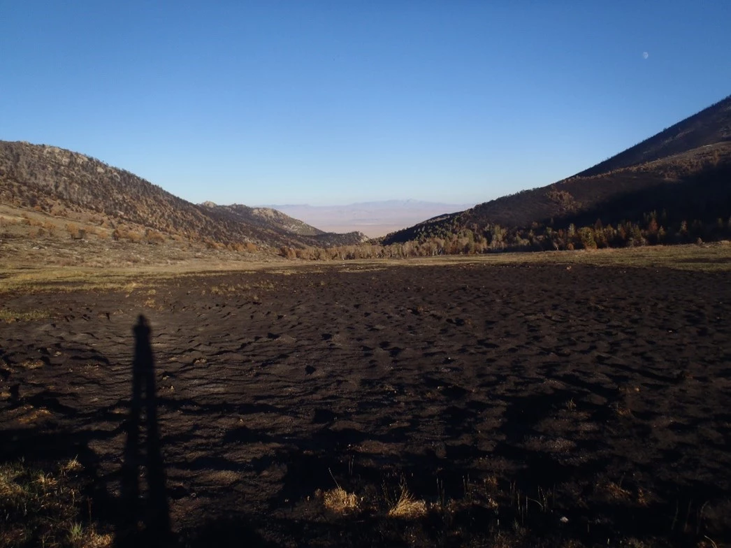 The upper meadow in Strawberry Creek four months after the fire in 2016.