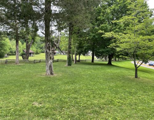 trees in picnic area trees in picnic area