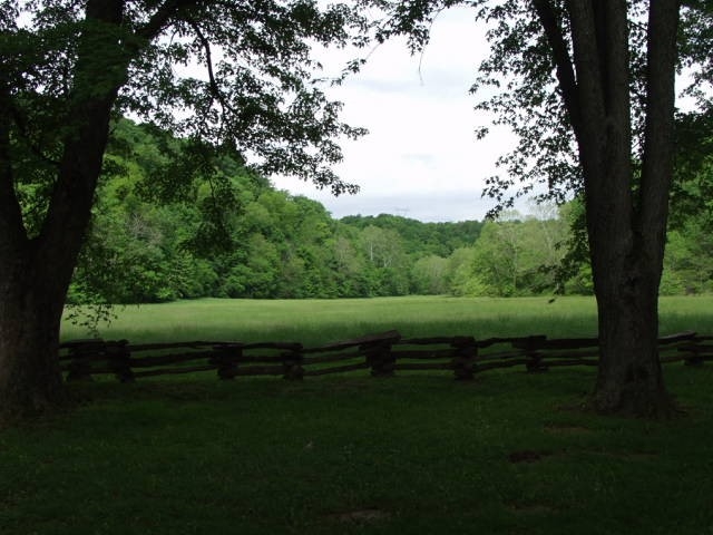 field at Knob Creek field at Knob Creek