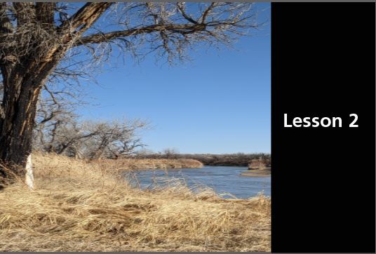 Arkansas River bank lined with cottonwood trees in the winter