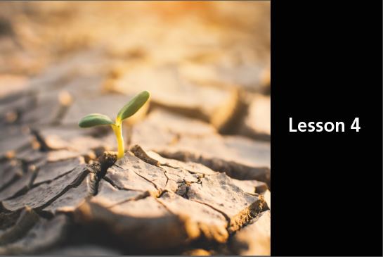 Small green plant seedling breaks out of dried and cracked soil