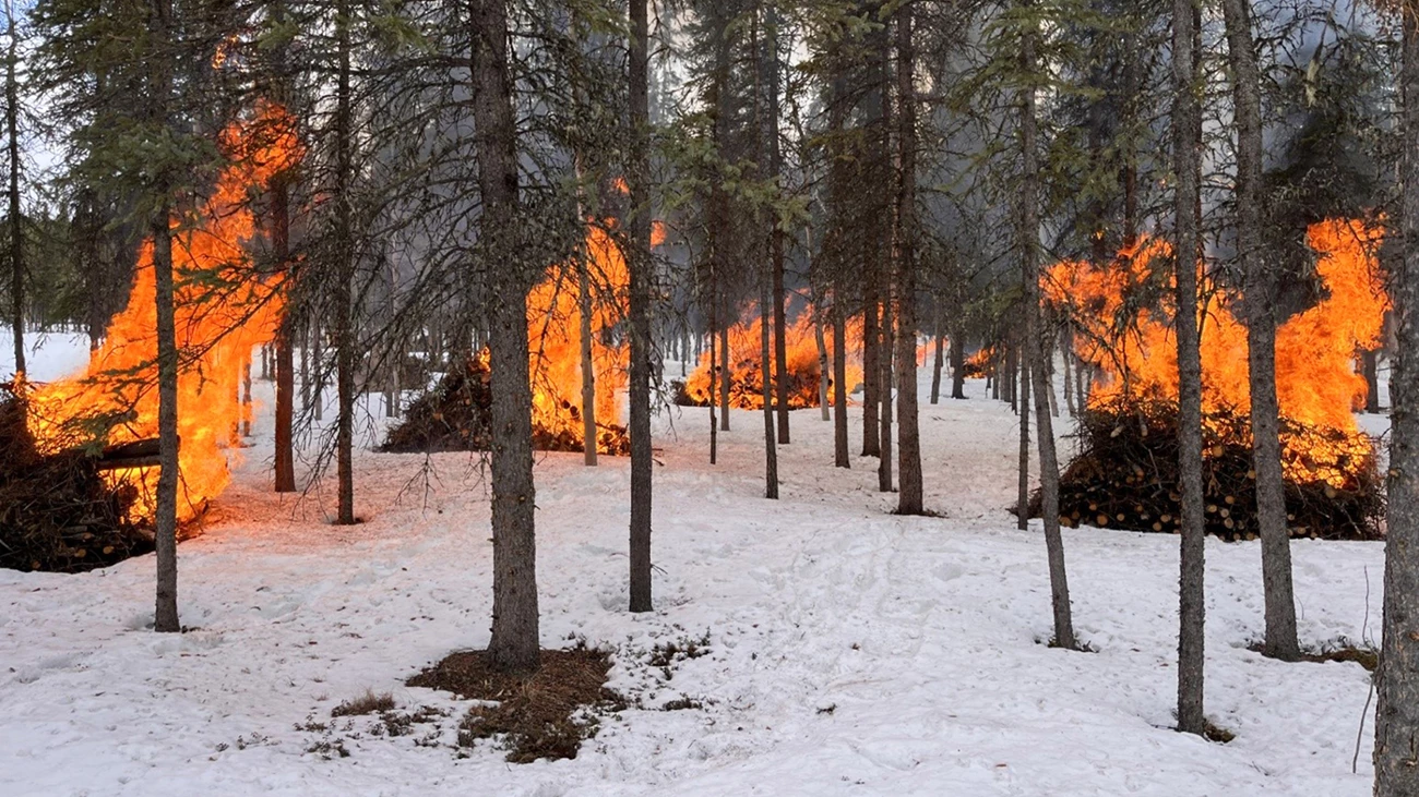 Piles of vegetation (wood, branches, etc) piled in a forested area with a fire truck parked to the right side.