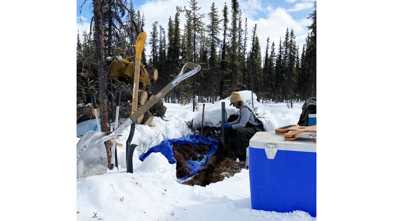 Two people dig a trench in a snowy area, piling soil onto a blue tarp.