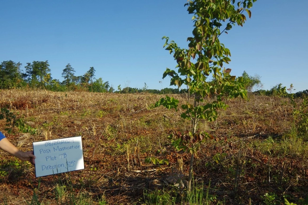 Sign reads 7/16/2024 Plot 7B 2024 Pre-Mastication Direction:325 in front of a wall of green shrubs