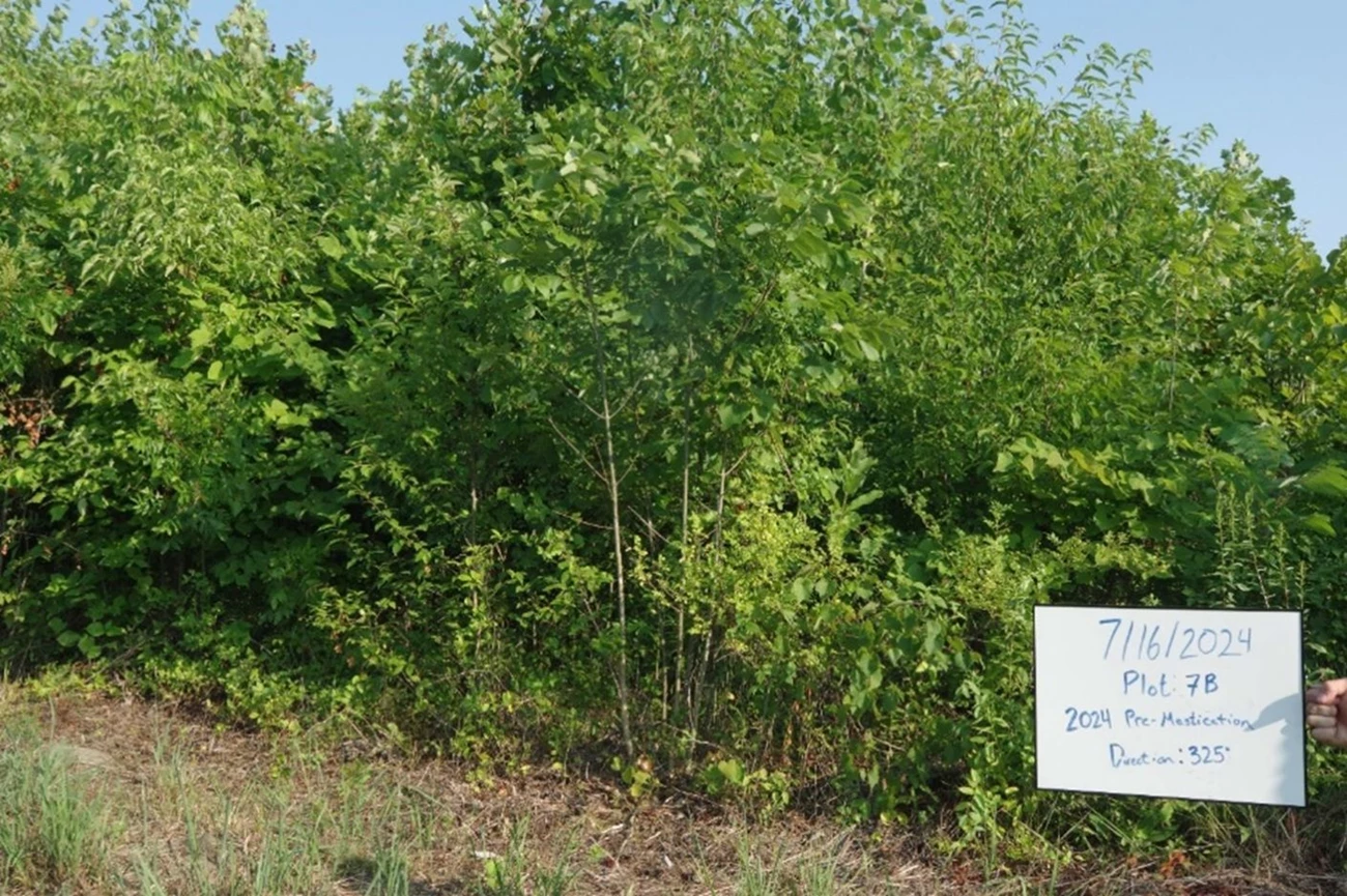 Sign reads 7/16/2024 Plot 7B 2024 Pre-Mastication Direction:325 in front of a wall of green shrubs