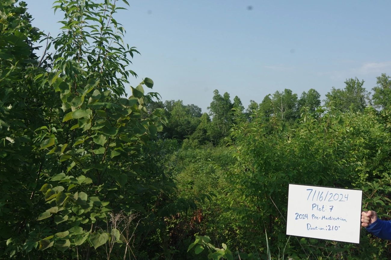 Sign reads 7/16/2024 Plot 7 2024 Pre Mastication Direction 210 in front of a green shrub covered landscape.