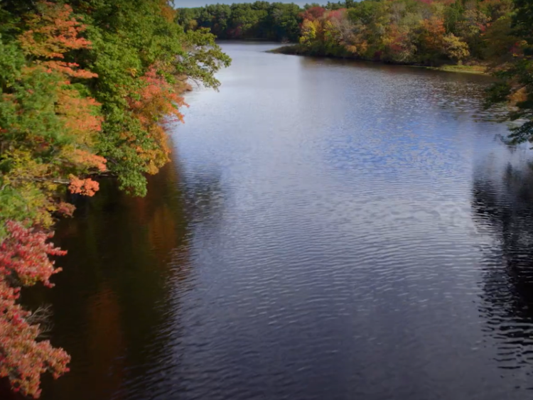 River with fall foliage.