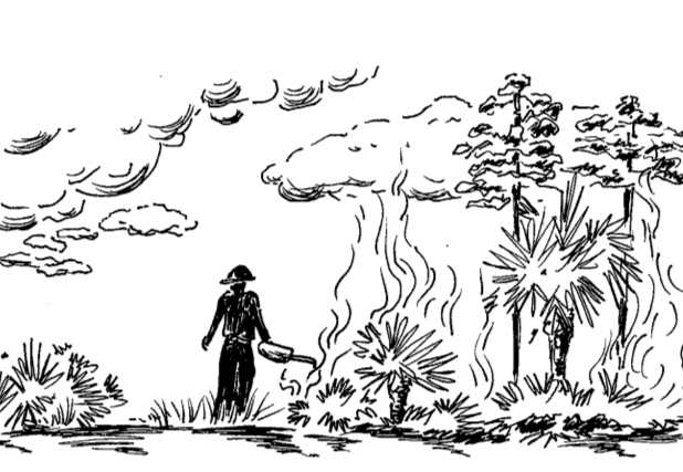A Tale of Two Ecosystems A Tale of Two Ecosystems