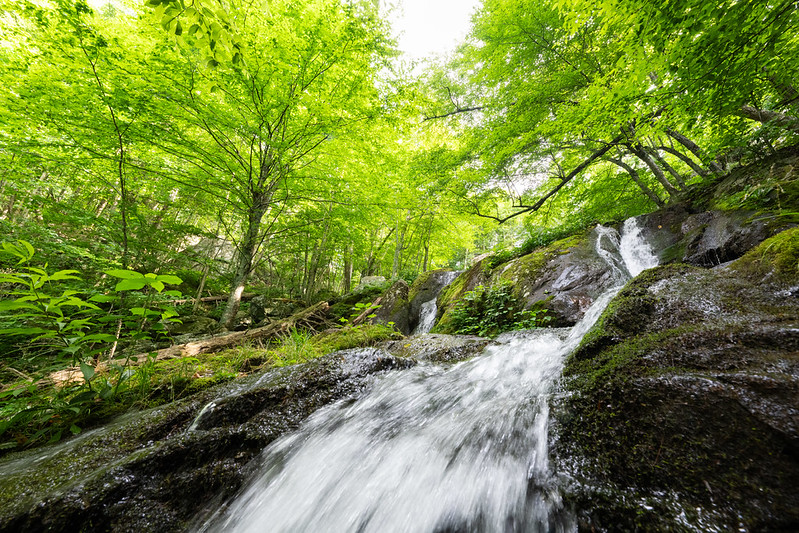Water cascading on Dark Hollow Falls 
