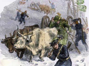 Engraving showing oxen and soldiers hauling cannons through snow from Fort Ticonderoga 