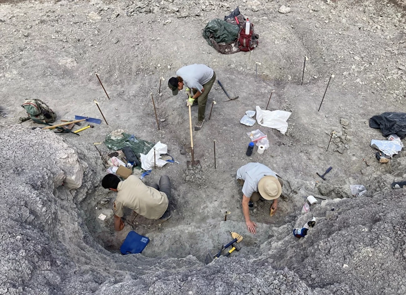 Paleontological excavation using a grid system.