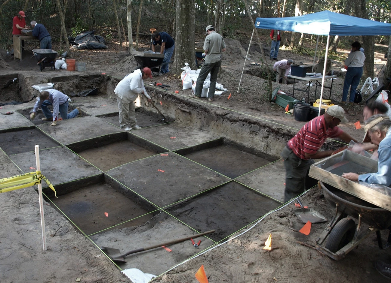 Paleontological excavation using a grid system.
