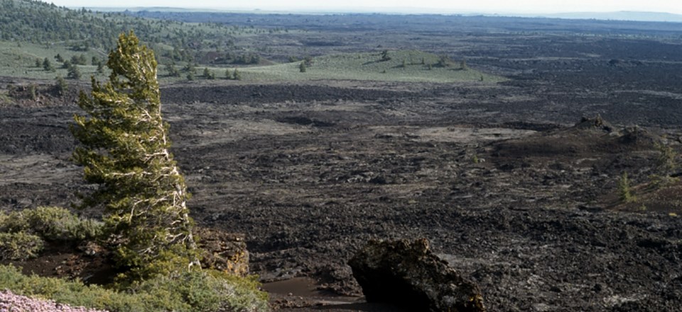 flat-lying lava field