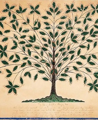 drawing of a tree with flames coming off the leaves