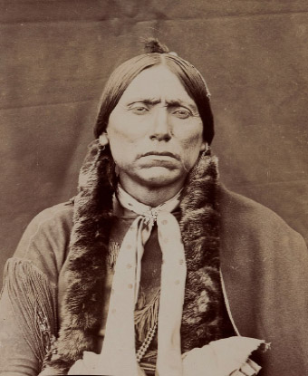 An american indian man, portrait, with braided hair and no smile.