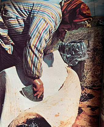 A woman is using a rounded knife on what appears to be a whale