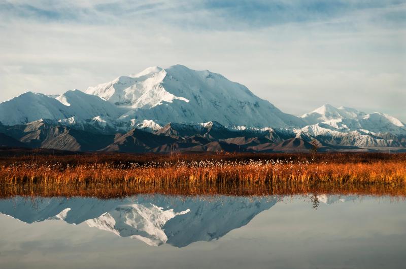 Image result for denali site:https://www.nps.gov/