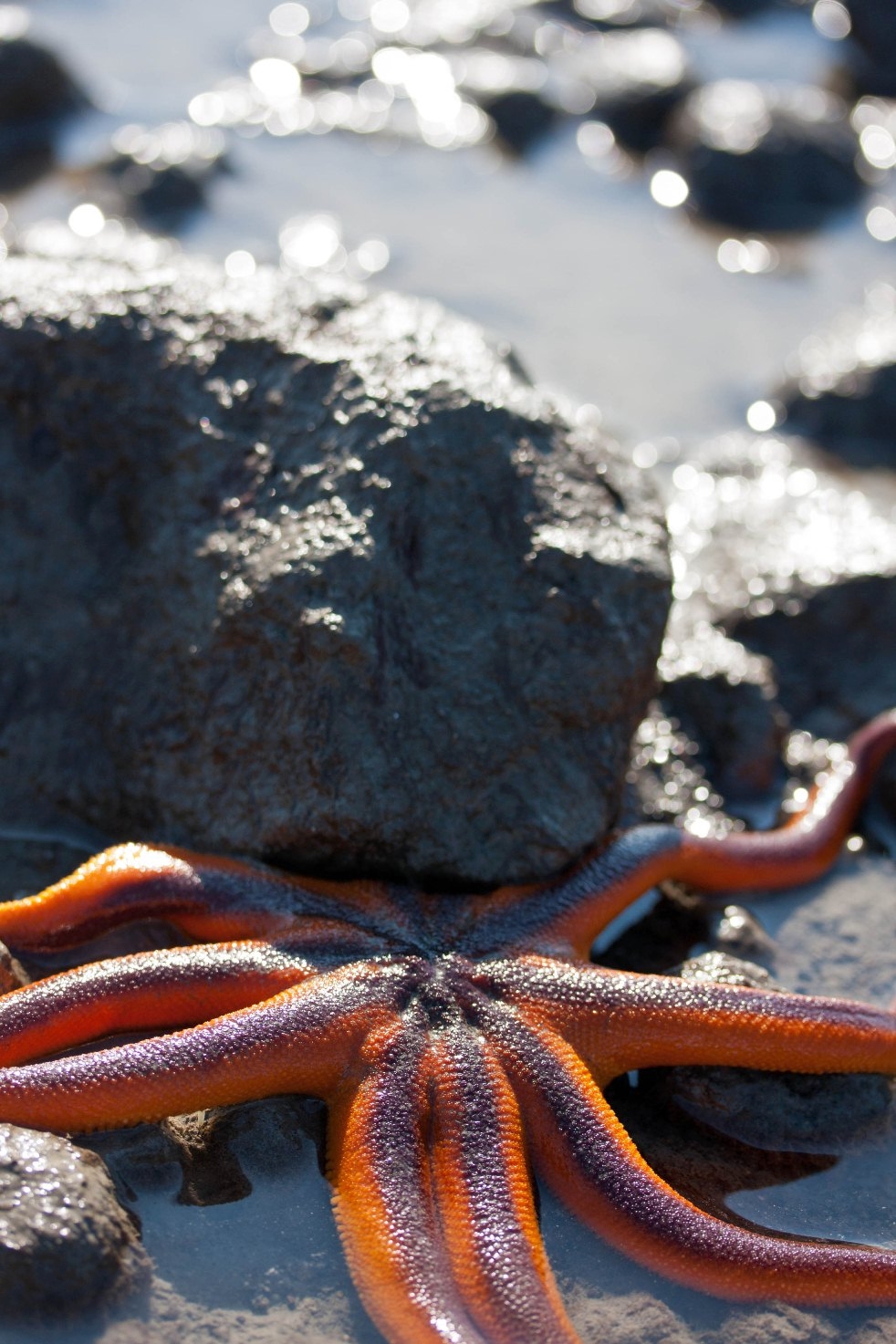 Photo Gallery (U.S. National Park Service)