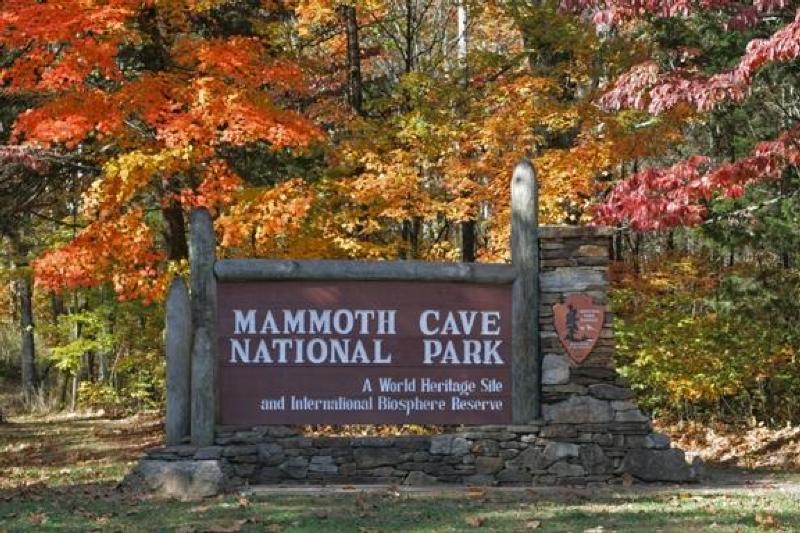 Image result for mammoth cave national park
