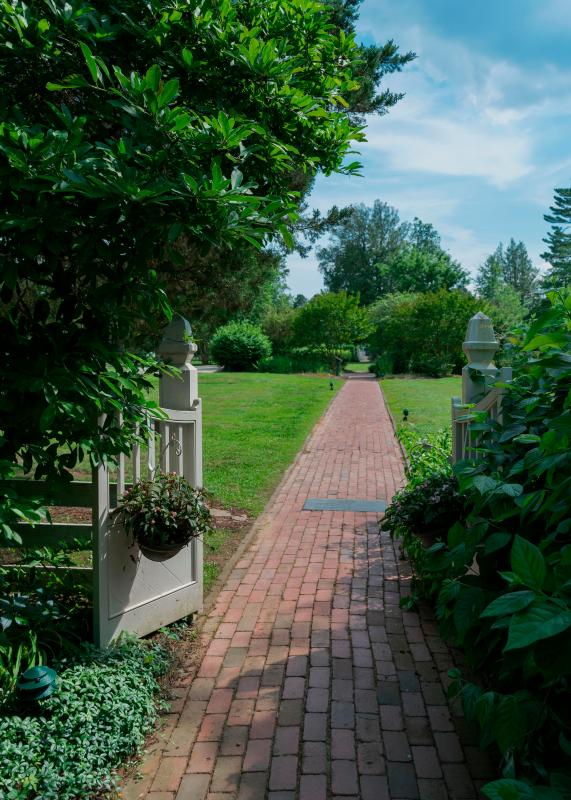 A white garden gate surrounded by shrubs and trees leads to the house