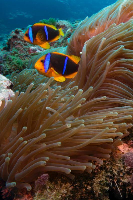 60 nri for form Service) Gallery National Photo (U.S. Park