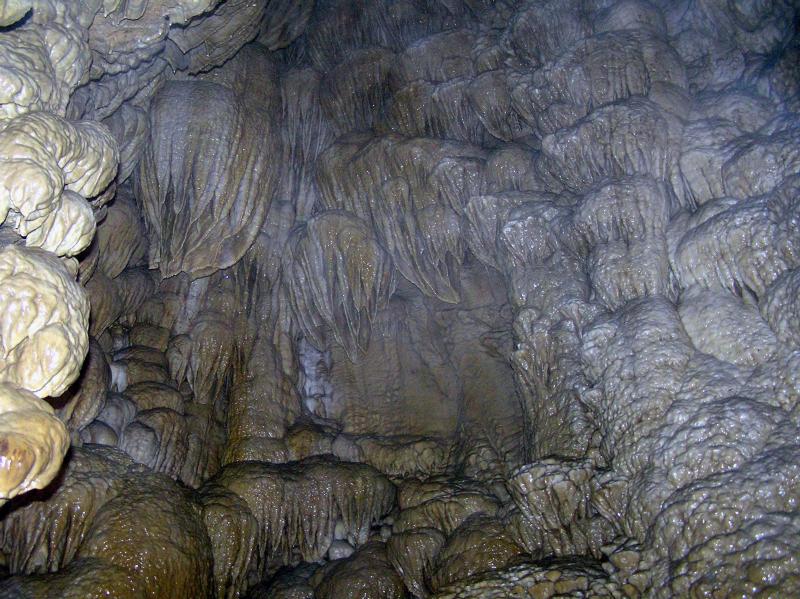 Oregon Caves National Monument and Preserve (NPS photo)