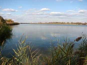 A blue sky dotted with white clouds is reflected in the still waters of West Pond, a quiet retreat for city visitors.