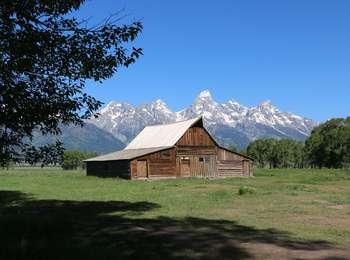 TA Moulton barn with Teton Range beyond and cottonwood trees in the fields.
